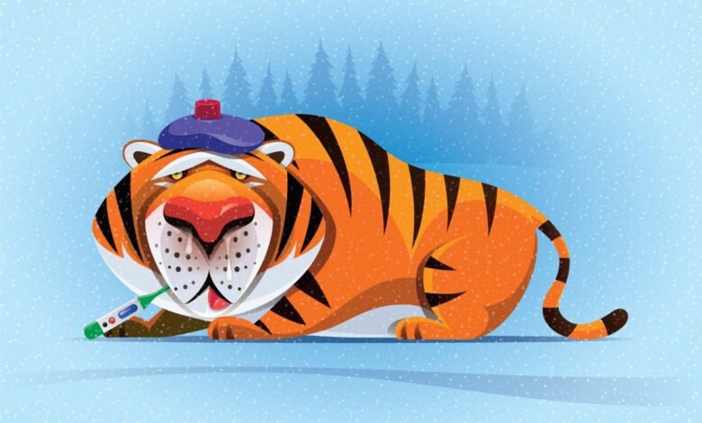 Cartoon tiger with ice pack and thermometer looks sick in snowy scene.