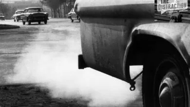 The Surprising Side of Carbon Dioxide