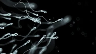 Sperm Donor’s Rare Cancer Gene Passed to 200 Children
