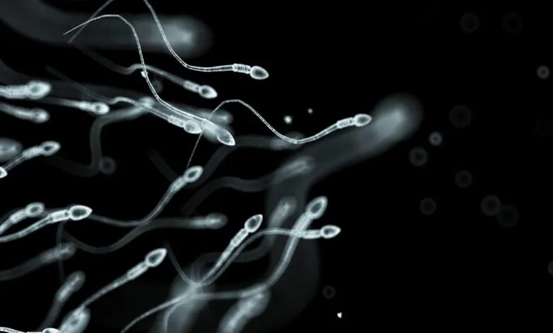Microscopic view of sperm cells swimming in a dark fluid.