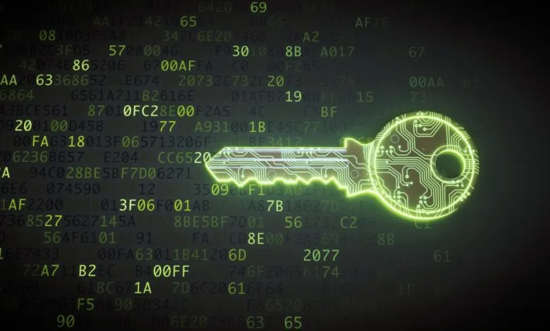 Glowing green key icon overlaid on a dark background of computer code.