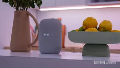 Google Home users hack Gemini onto devices via URL trick