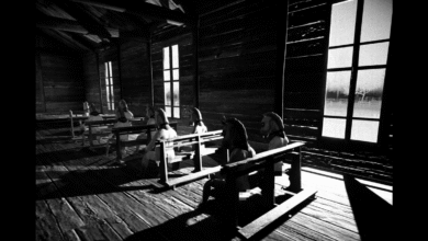Black and white image of toy horses sitting in rows of benches inside a wooden structure.
