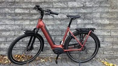 Gazelle Arroyo: The Ultimate High-End Commuter Bike