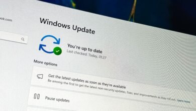 Windows Update screen showing 'You're up to date' with a green checkmark.