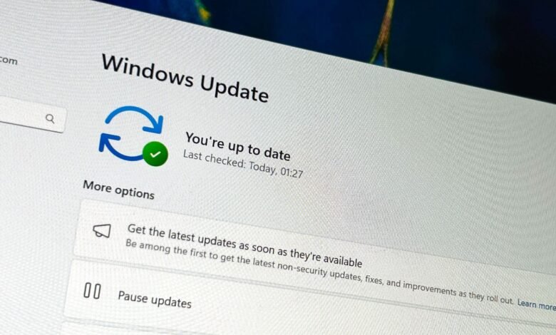 Windows Update screen showing 'You're up to date' with a green checkmark.