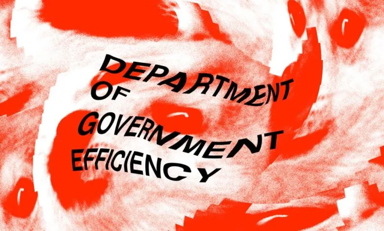 Abstract art with 'Department of Government Efficiency' text.