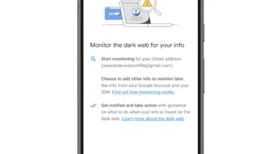 Google’s Dark Web Report Feature Discontinued in February