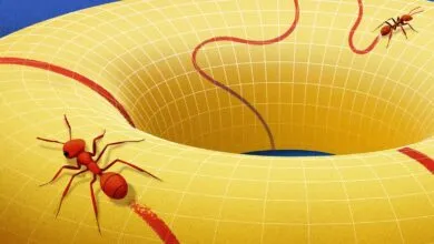 How the Manifold Revolutionized Our View of Space