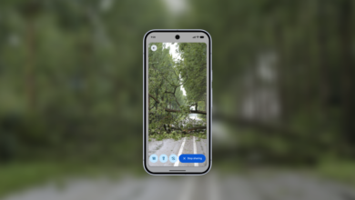 Smartphone displaying live video of fallen tree blocking a road.
