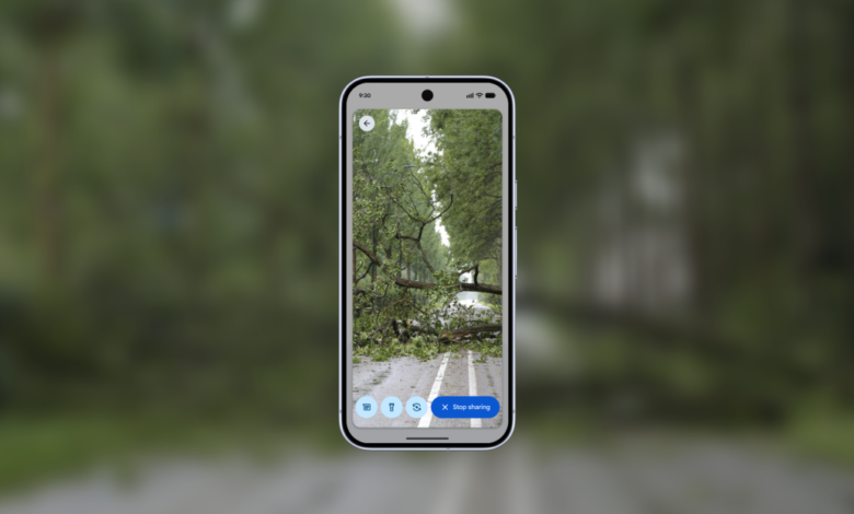 Smartphone displaying live video of fallen tree blocking a road.