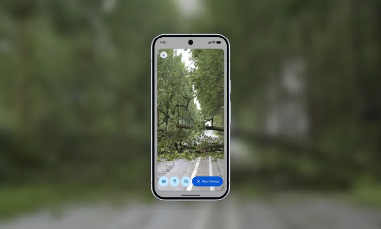 Smartphone displaying live video of fallen tree blocking a road.