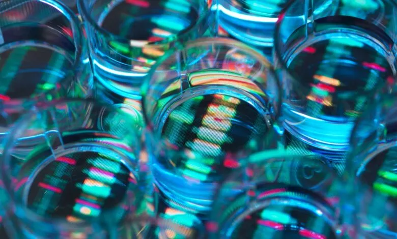 Close-up of test tubes reflecting a colorful digital display.