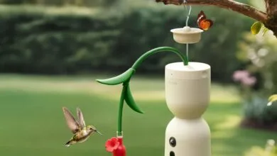 Smart bird feeder with hummingbird and butterfly in a garden setting.