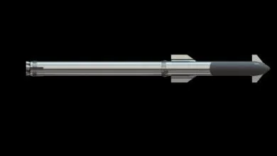 Another Chinese Starship Replica Emerges