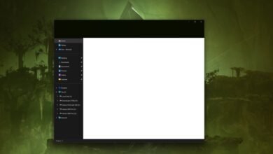 Dark mode File Explorer window with a blank white content area.