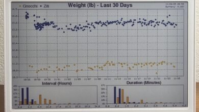 Track Your Cat's Habits with a Data-Driven Dashboard