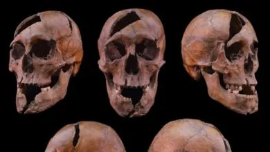 Three human skulls with damage displayed against a black background.