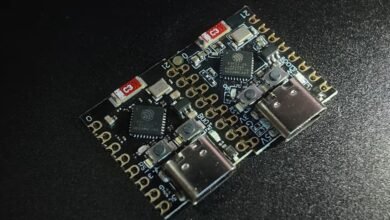 Beware of Flashless ESP32-C3 Mini Boards
