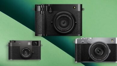 Fujifilm 2025: A Year of Peaks and Valleys
