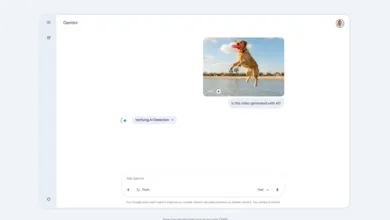 Google’s Gemini App Detects AI-Generated Videos