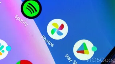 Google Photos Revives Face Search for People & Pets