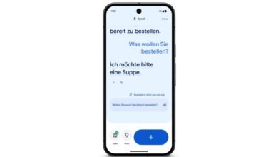 Google Translate app displaying German text on a smartphone screen.