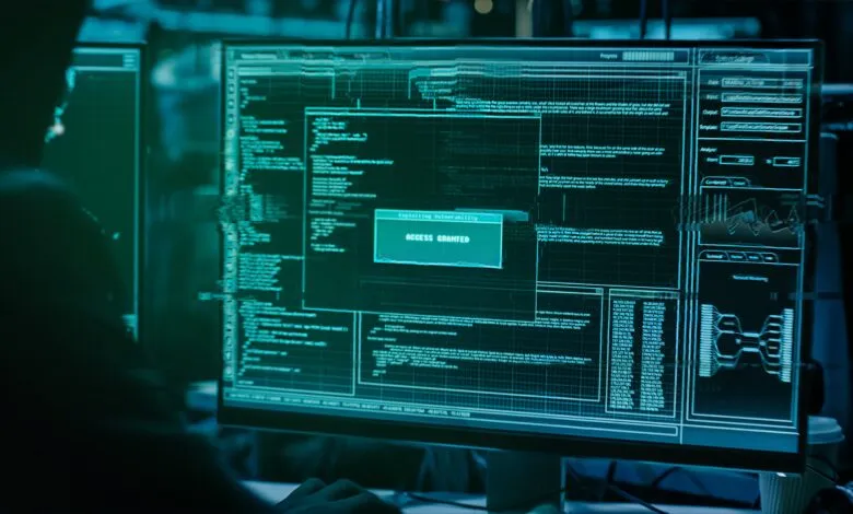 Computer screen displaying code and 'Access Granted' message.