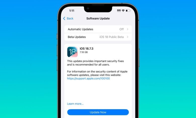 Screenshot of iOS 18.7.3 software update screen on an iPhone.