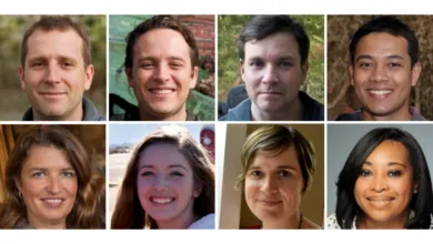 Spot AI-Generated Faces: Learn to Identify the Fakes