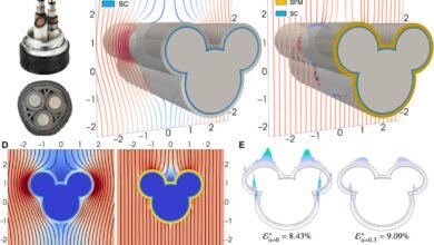 Diagrams showing magnetic cloaking around a Mickey Mouse shape, with field lines.