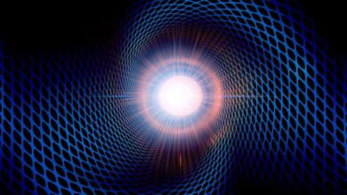 Scientists Build Real-World Magnetic Cloaking Device for Complex Shapes