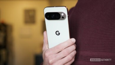 Person holds a Google Pixel phone showing the back camera array.