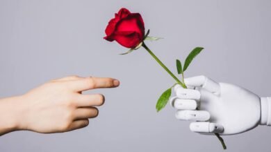 Human hand reaches for red rose held by a white robotic hand.
