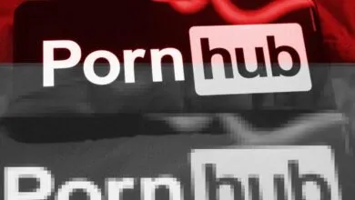 Millions of PornHub Users’ Data Stolen in Extortion Hack