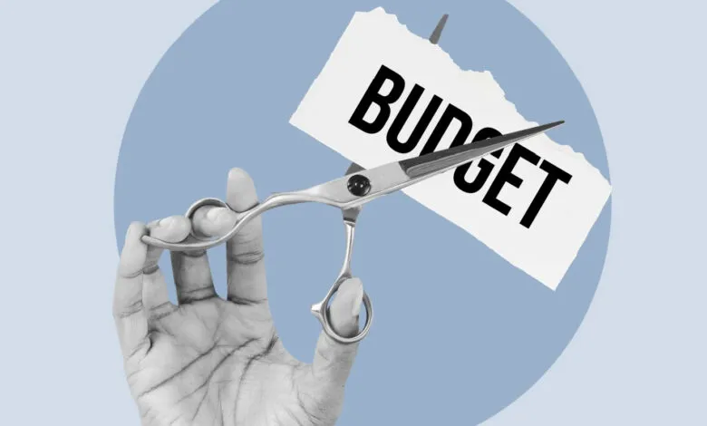 Hand with scissors cutting the word 'Budget' on a paper.