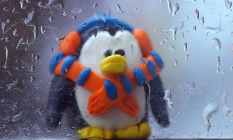 Clay penguin figure with scarf behind a window covered in raindrops.