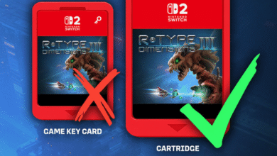 Nintendo Switch game formats: Game Key Card (X) vs. Cartridge (Check).