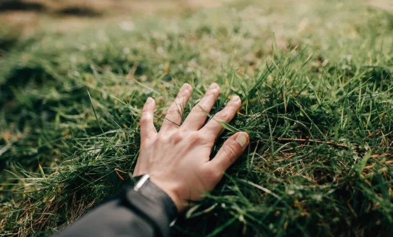 A hand rests on a patch of green grass in a natural setting.