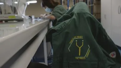 Ÿnsect’s $600M Insect Farming Dream: How Reality Bites