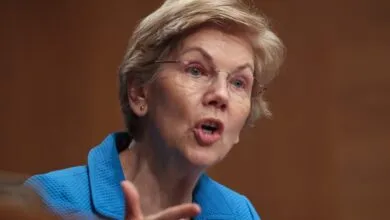Senator Elizabeth Warren speaking at a hearing, gesturing.