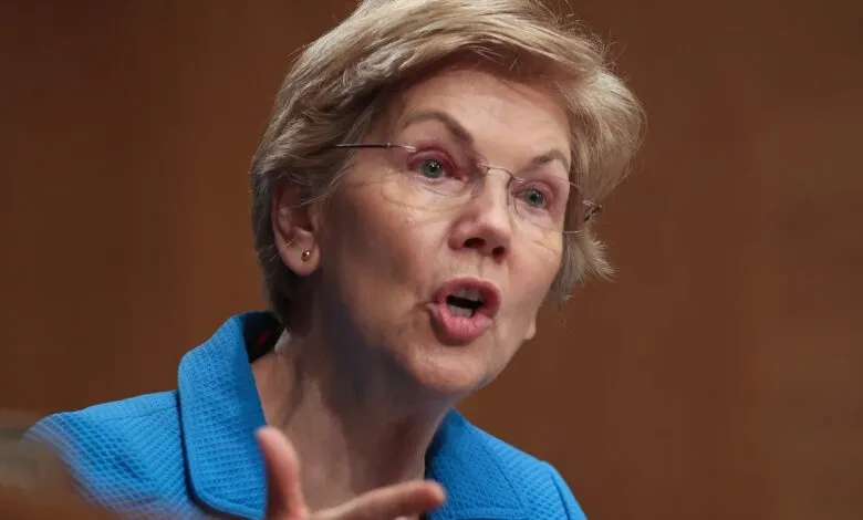 Senator Elizabeth Warren speaking at a hearing, gesturing.