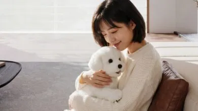 AI Companion Robots: The Future of Pets and Partners