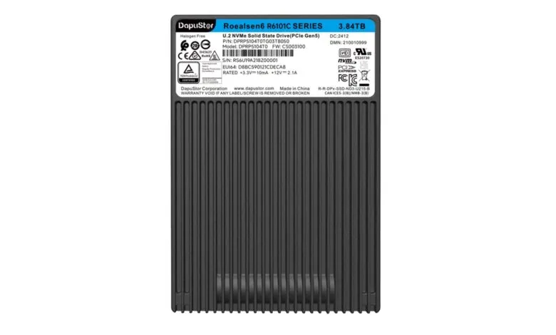 DapuStor Roealsen6 R6101C Series 3.84TB solid state drive.
