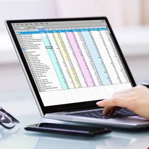 Person typing on laptop displaying a spreadsheet, with a phone nearby.
