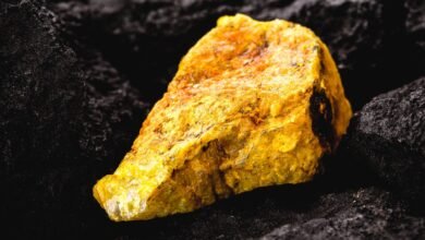 Chunk of yellow rock sits on a bed of dark, volcanic rock.
