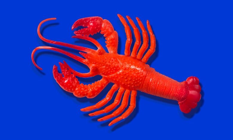 Bright red plastic lobster toy against a vibrant blue background.