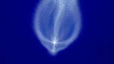Rocket plume expands against a deep blue sky, creating a bright, ethereal effect.