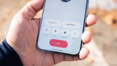 Hand holding phone displaying Google Phone app call screen.