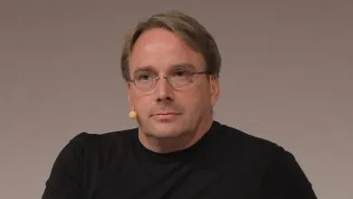 Linus Torvalds Tries Vibe Coding (Just a Little)